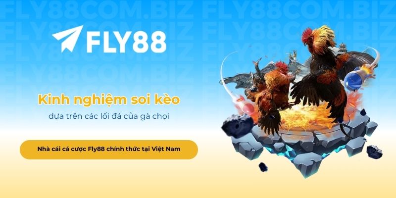 Kinh nghiệm soi kèo dựa trên các lối đá của gà chọi