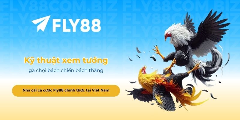 Kỹ thuật xem tướng gà chọi bách chiến bách thắng