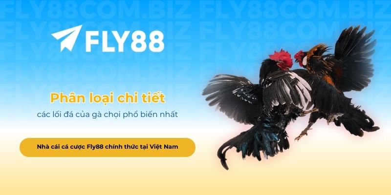 Phân loại chi tiết các lối đá của gà chọi phổ biến nhất